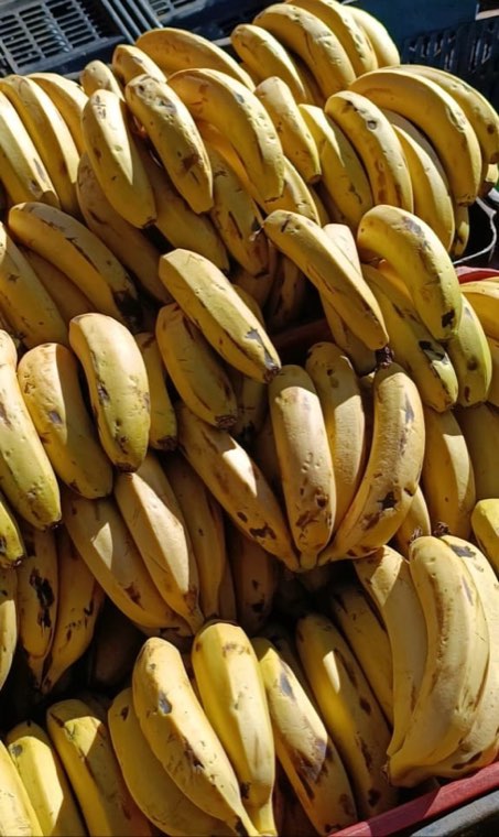 Bananas stacked in crates