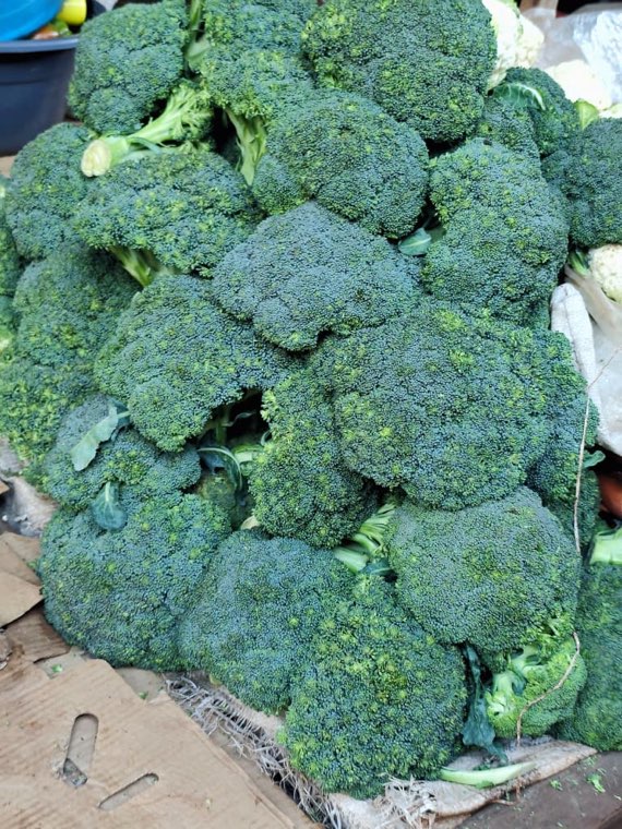 Fresh broccoli heads