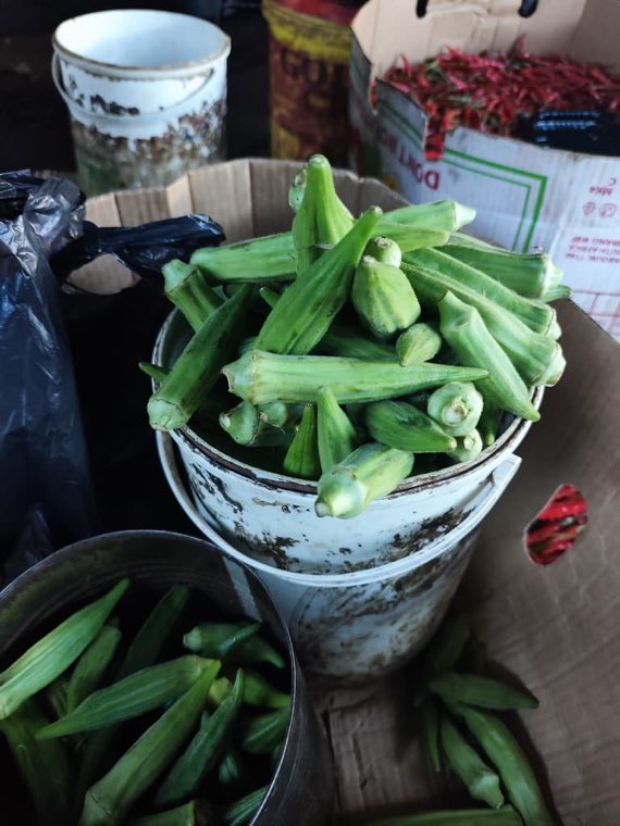 Okra measured out by the bucket