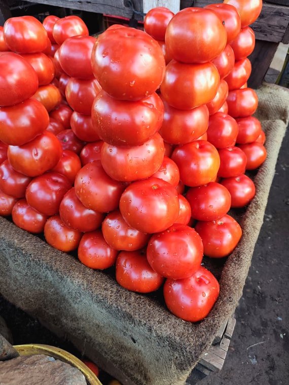 Fresh tomatoes stacked at the market